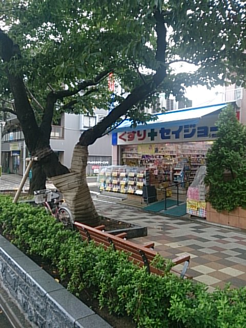 Dorakkusutoa. Medicine Seijo Minamimagome shop 284m until (drugstore)