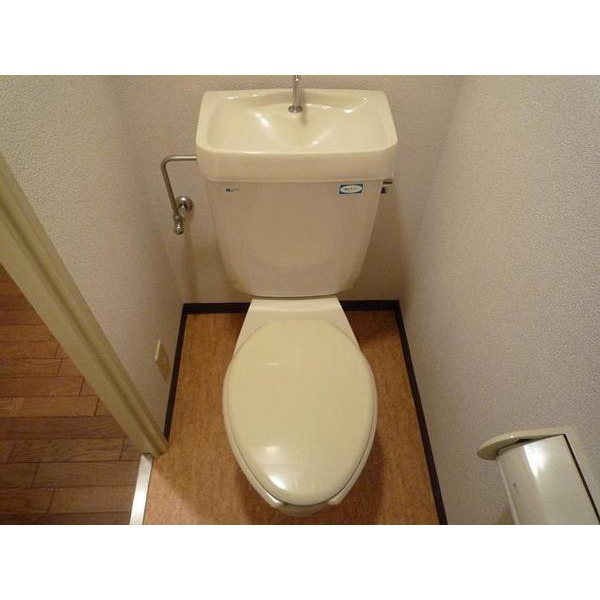 Toilet. Another room reference photograph