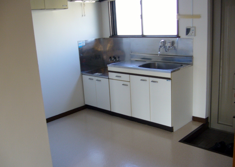 Kitchen. Bright kitchen with a window (DK)