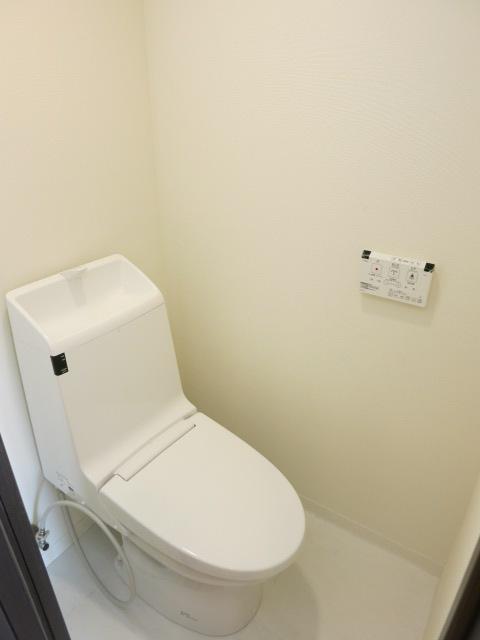 Toilet. High-function toilet