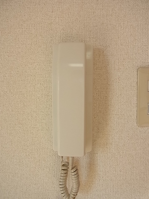 Security. Security peace of mind in the intercom equipped