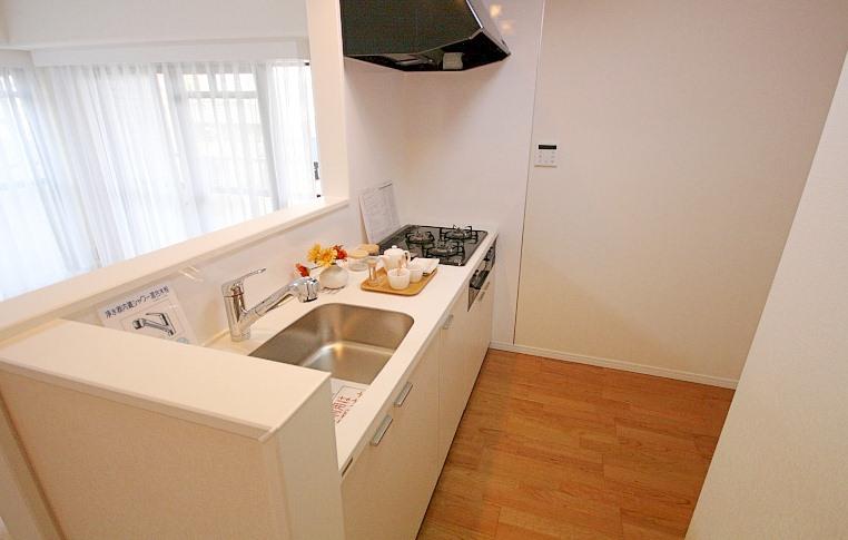 Kitchen. Indoor (12 May 2013) Shooting