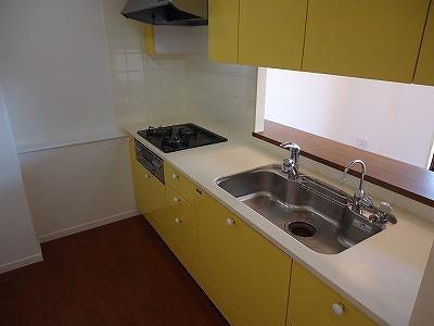 Kitchen. Face-to-face kitchen