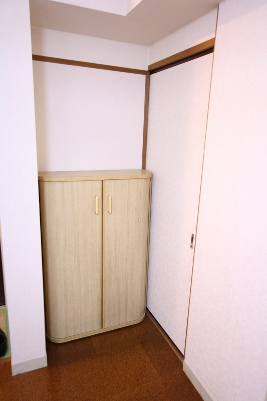 Other room space. Shoe box