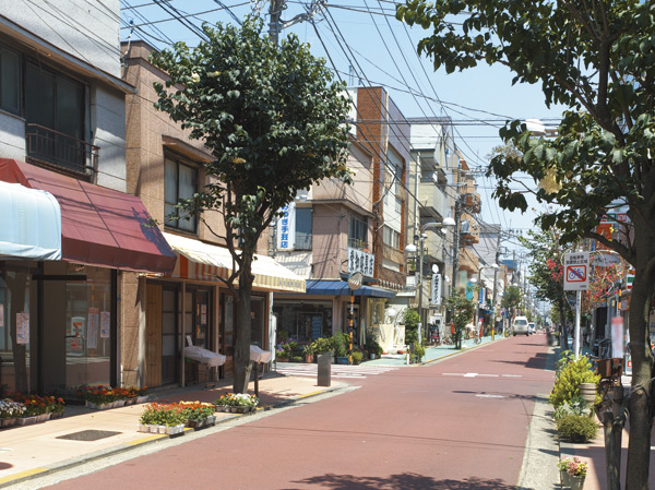 Surrounding environment. Lilac shopping street (about 300m, 4-minute walk)