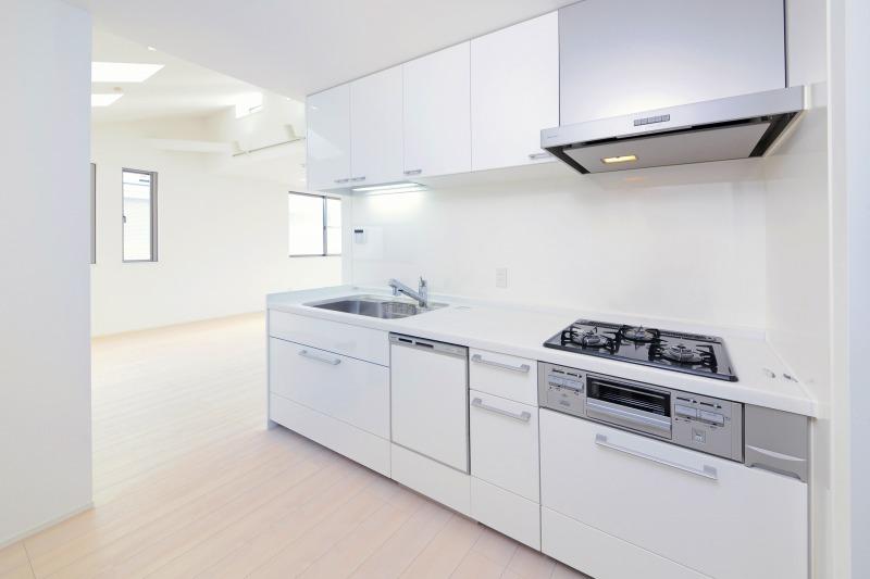 Kitchen. Indoor (11 May 2013) Shooting