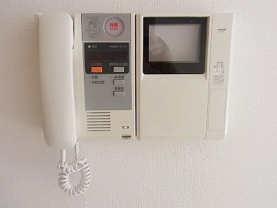 Security. Intercom with TV monitor