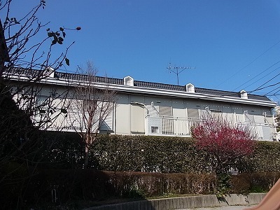 Building appearance. Sunny