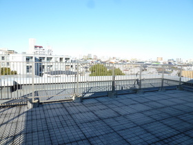 View. View from the roof balcony