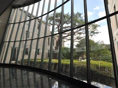 Entrance. Common areas