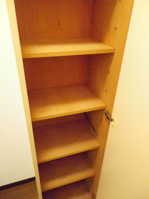 Other. Footwear input