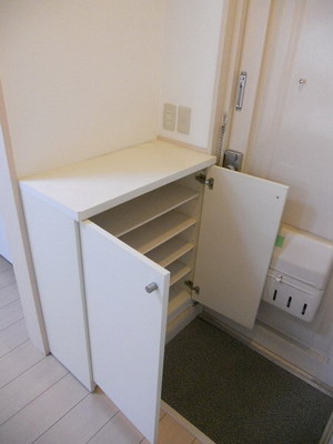 Entrance. With shoe box in the foyer