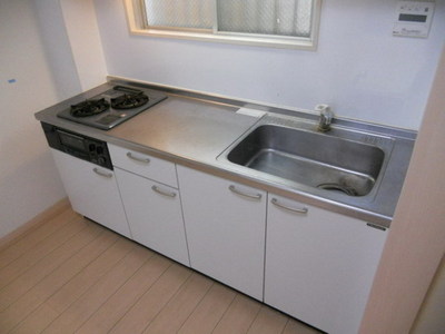 Kitchen. Two-burner stove with system kitchen the dishes get on