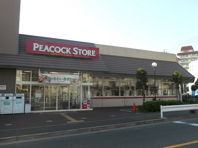 Supermarket. 581m until Peacock (super)