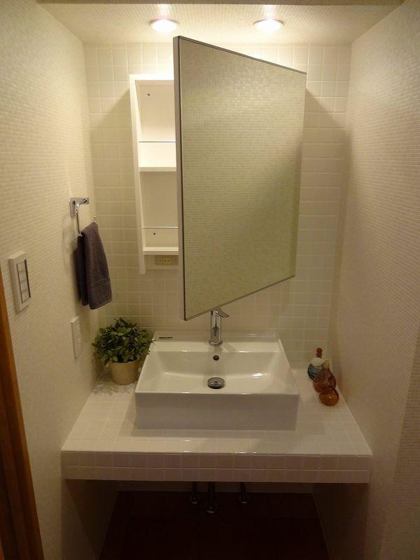 Wash basin, toilet. Bathroom vanity