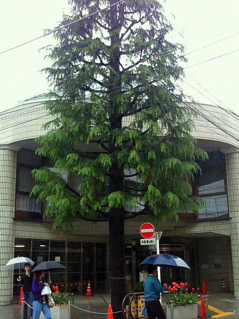 library. 1029m to Setagaya Ward Oyamadai Library
