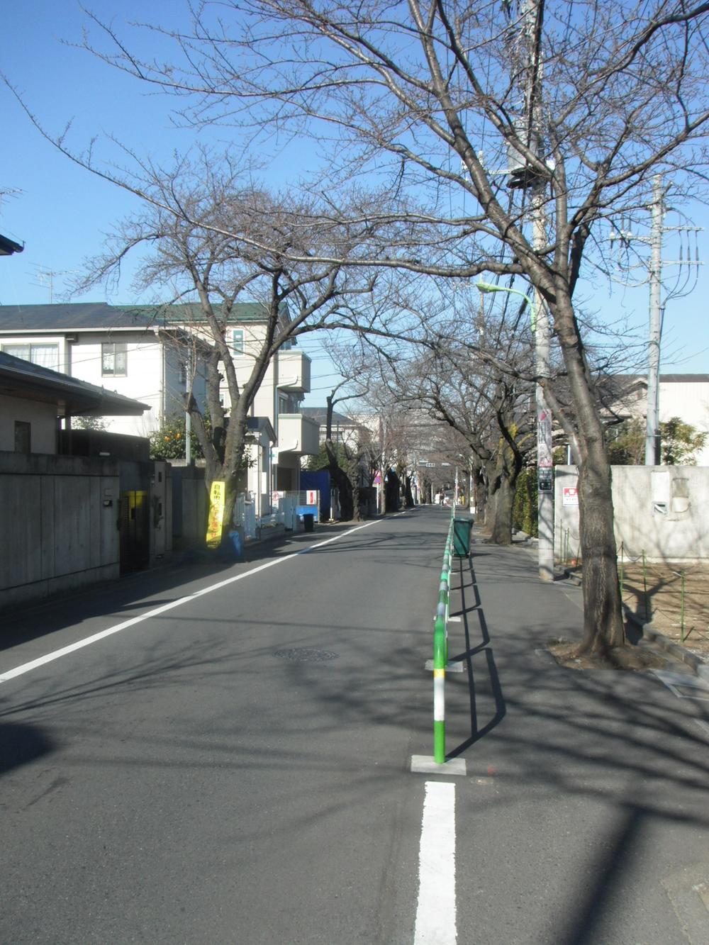 Local photos, including front road. Local (January 2014) Shooting