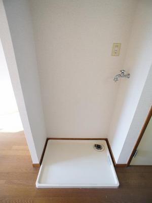 Other. You can wash with confidence in the washing machine inside the room rain!