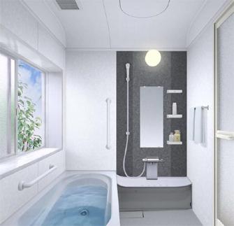 Bathroom. Same construction cases