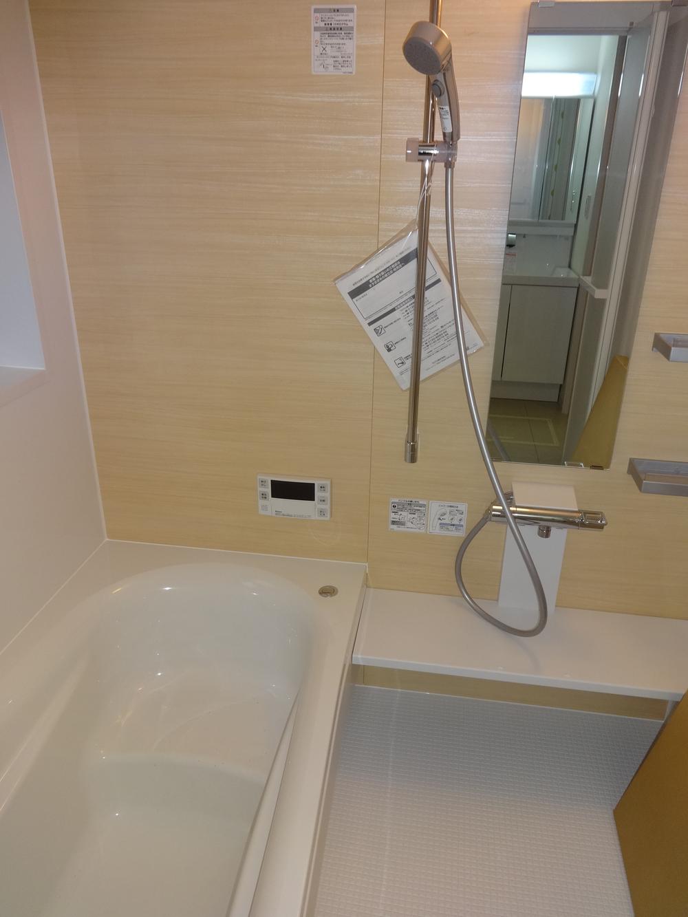 Bathroom. Indoor (11 May 2013) Shooting