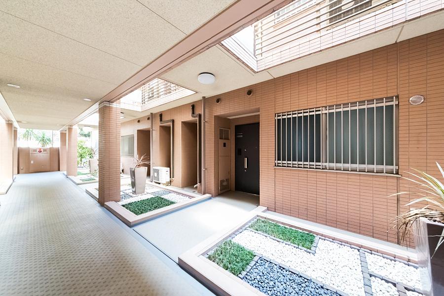 Other. Pets is a breeding-friendly rooms