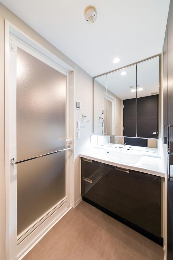 Wash basin, toilet. Wash room with cleanliness