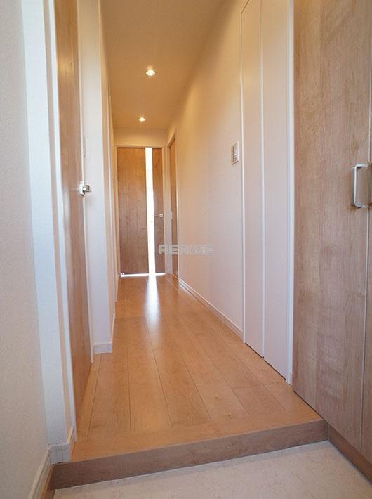 Entrance. Entrance and corridor