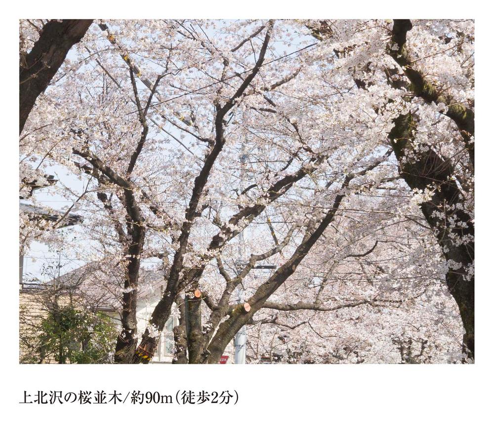 Streets around. Until the cherry trees 90m