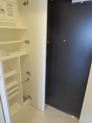 Entrance. There is also shoes BOX