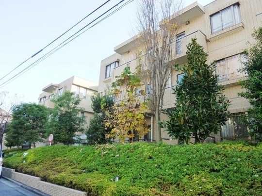 Local appearance photo. Mansion appearance (1)