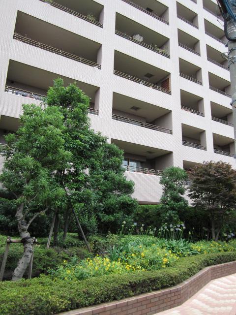 Local appearance photo. Local (June 2013) Shooting