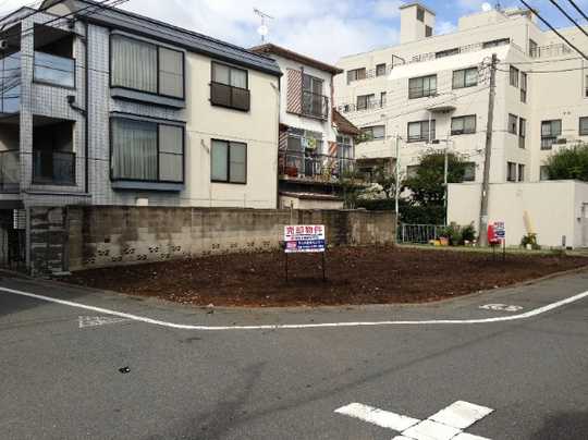 Local land photo. appearance