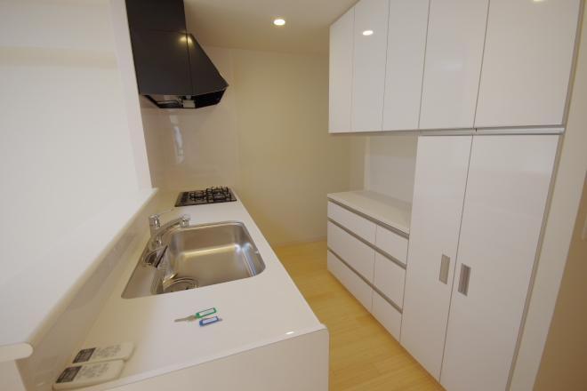 Kitchen. Indoor (12 May 2013) Shooting