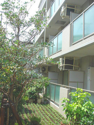 Building appearance. Mansion with a green