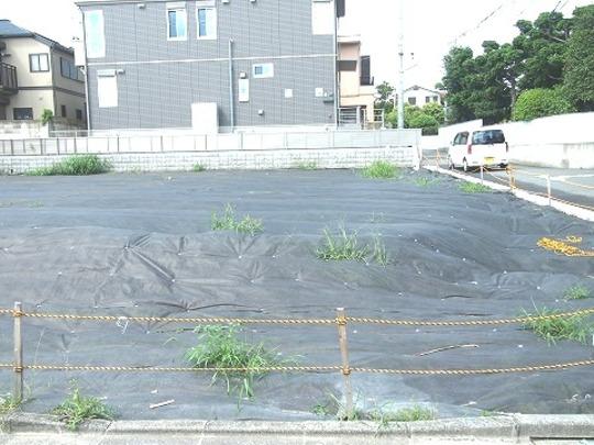 Local land photo. Local Photos