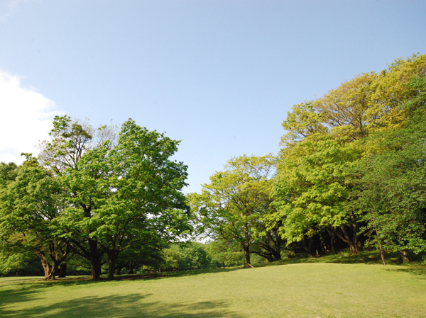 Surrounding environment. Neighborhood was surrounded by a rich and mellow green of Setagaya unique environment. In <Park Holmes Futakotamagawa Hilltop>, As people you live can feel free to enjoy your pleasure an active life, In addition to the one household every two cars in parking lot, Also offers bicycle rental. ※ When the bicycle rental available, You will follow the management contract. (Tokyo Metropolitan Kinutakoen / A 15-minute walk ・ About 1190m)