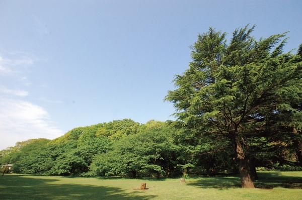 Metropolitan Kinutakoen (about 1190m / A 15-minute walk, Bicycle about 5 minutes). Vast lawns and athletic Square, There are museums, Be entertained freely holiday