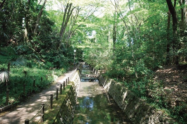 Is the only valley Tokyo Todoroki Valley (about 2740m / Bicycle about 11 minutes). It is the spot where you can feel the nature of the season