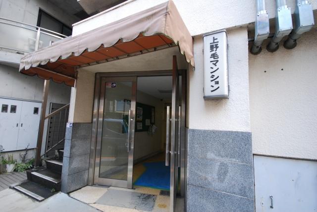 Entrance. Common areas