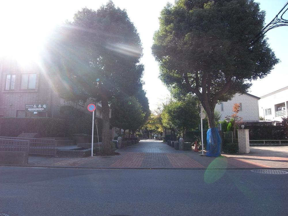 Other. Surrounding environment