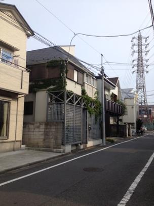 Local land photo. Local appearance