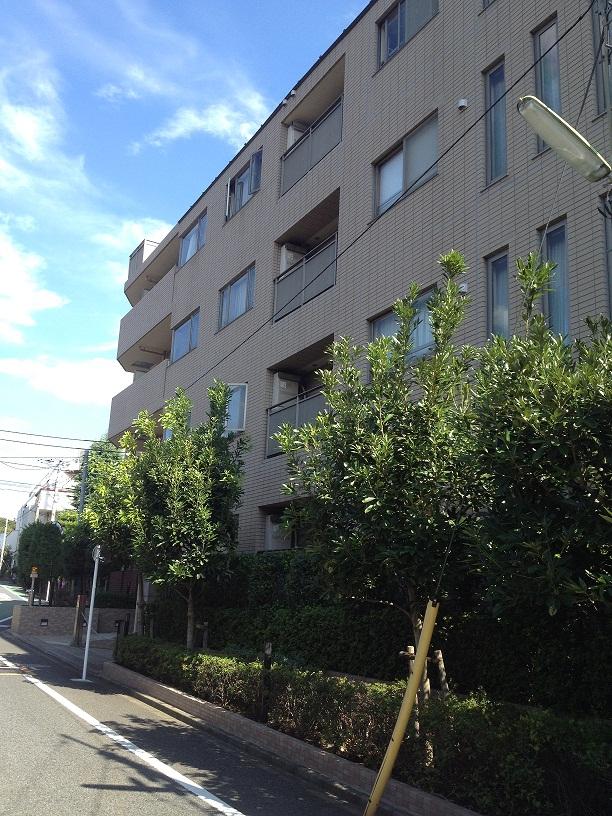 Local appearance photo