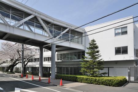 Primary school. 150m to St. Mary's International School