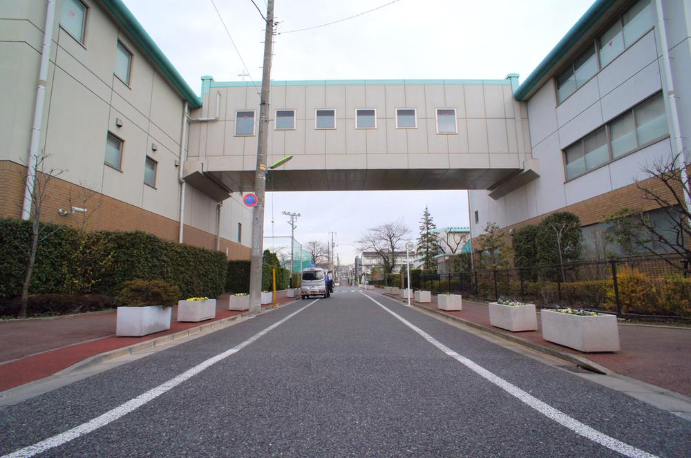 Other. Local neighborhood