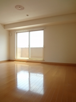 Living and room. 2F living room