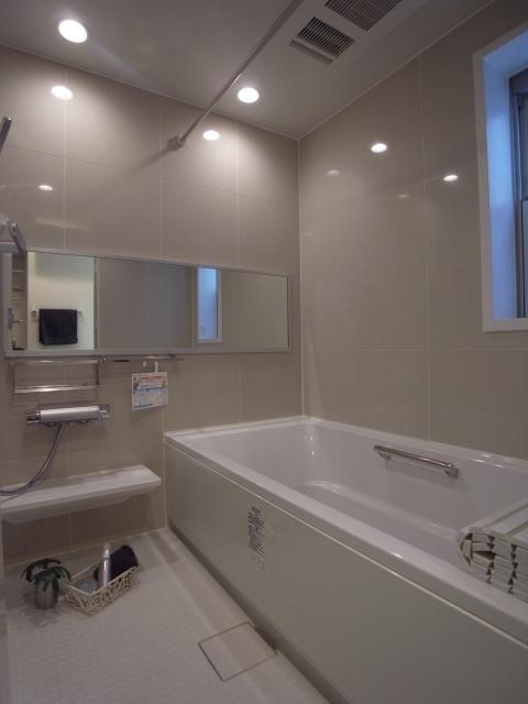 Bathroom. Indoor (12 May 2013) Shooting