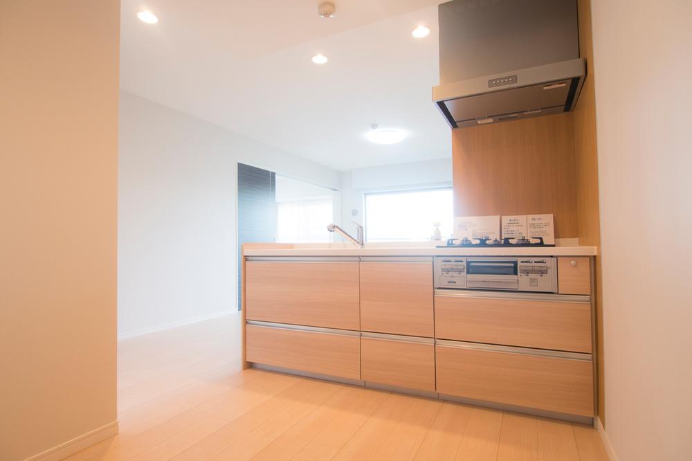 Kitchen. Indoor (12 May 2013) Shooting