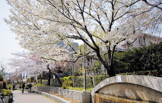 Surrounding environment. Osan River green road (a 3-minute walk ・ About 190m)
