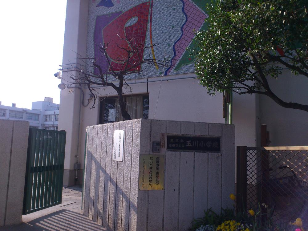 Primary school. 1263m to Setagaya Ward Tamagawa Elementary School