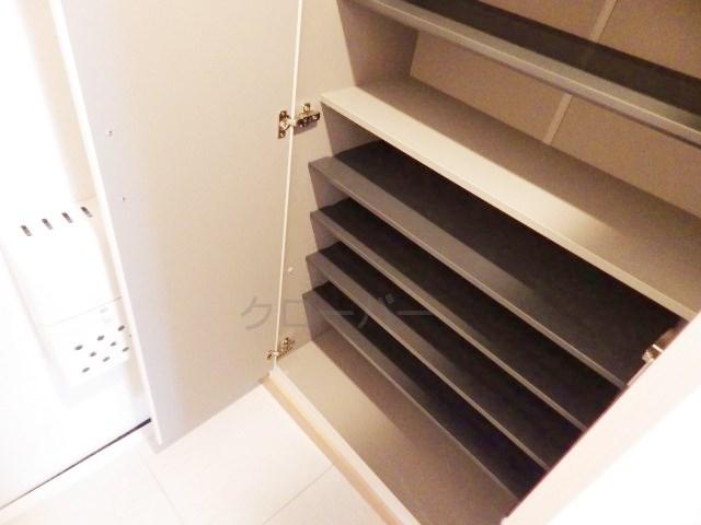 Other. Footwear purse